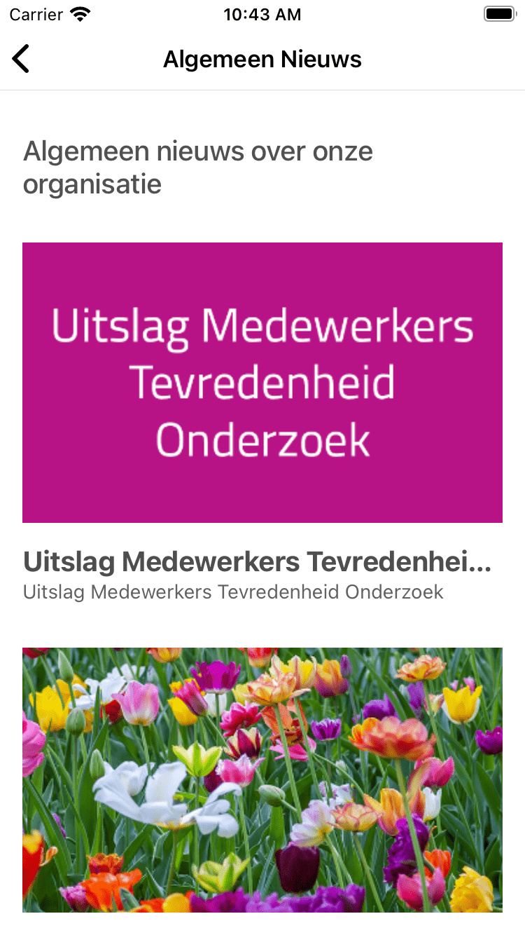 Equipe App Screenshot 4